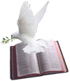 Icon_Dove-Bible_02.png